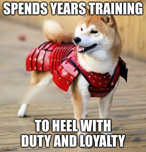 Virtues of the Bushidōg: Chūgi | SPENDS YEARS TRAINING; TO HEEL WITH DUTY AND LOYALTY | image tagged in dog,samurai | made w/ Imgflip meme maker