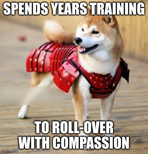 Virtues of the Bushidōg: Jin | SPENDS YEARS TRAINING; TO ROLL-OVER WITH COMPASSION | image tagged in dog,samurai | made w/ Imgflip meme maker