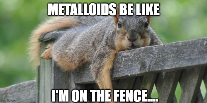 Chemistry meme about metalloids | METALLOIDS BE LIKE; I'M ON THE FENCE.... | image tagged in chemistry cat,chemistry | made w/ Imgflip meme maker