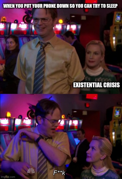 Angela scared Dwight | WHEN YOU PUT YOUR PHONE DOWN SO YOU CAN TRY TO SLEEP; EXISTENTIAL CRISIS | image tagged in angela scared dwight | made w/ Imgflip meme maker