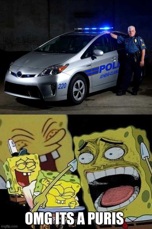 u serious | OMG ITS A PURIS | image tagged in spongebob laughing hysterically | made w/ Imgflip meme maker