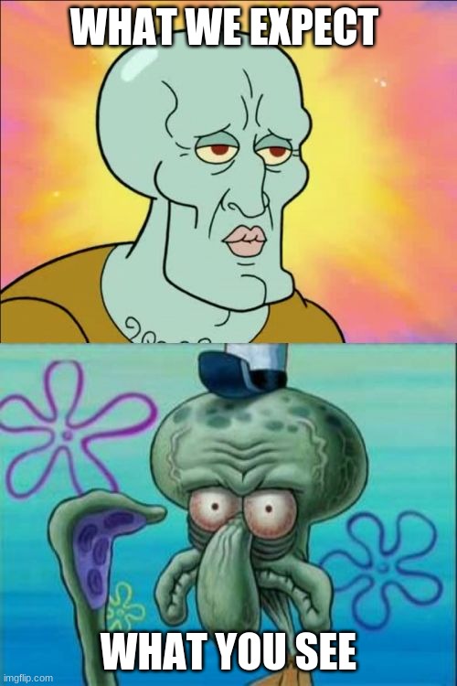 reality | WHAT WE EXPECT; WHAT YOU SEE | image tagged in memes,squidward | made w/ Imgflip meme maker