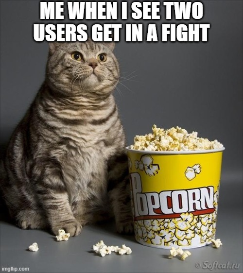 Cat eating popcorn | ME WHEN I SEE TWO USERS GET IN A FIGHT | image tagged in cat eating popcorn | made w/ Imgflip meme maker