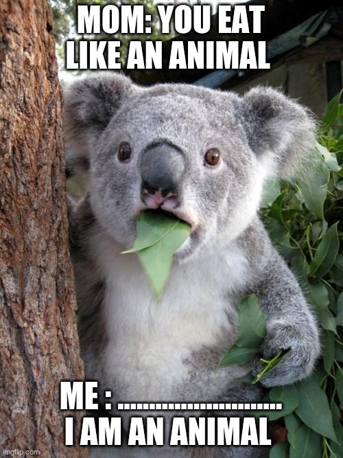 when ur simply what u are | MOM: YOU EAT LIKE AN ANIMAL; ME : .......................... I AM AN ANIMAL | image tagged in memes,surprised koala | made w/ Imgflip meme maker