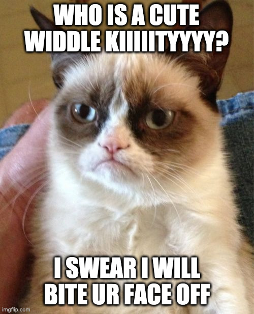upvote if this is your cat          XD | WHO IS A CUTE WIDDLE KIIIIITYYYY? I SWEAR I WILL BITE UR FACE OFF | image tagged in memes,grumpy cat | made w/ Imgflip meme maker