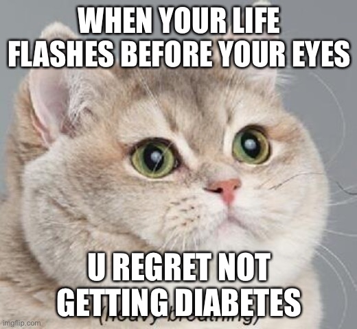 Heavy Breathing Cat Meme | WHEN YOUR LIFE FLASHES BEFORE YOUR EYES; U REGRET NOT GETTING DIABETES | image tagged in memes,heavy breathing cat | made w/ Imgflip meme maker