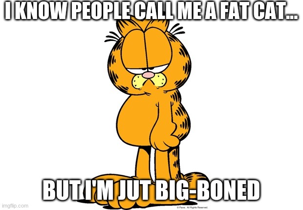 Grumpy Garfield | I KNOW PEOPLE CALL ME A FAT CAT... BUT I'M JUT BIG-BONED | image tagged in grumpy garfield | made w/ Imgflip meme maker