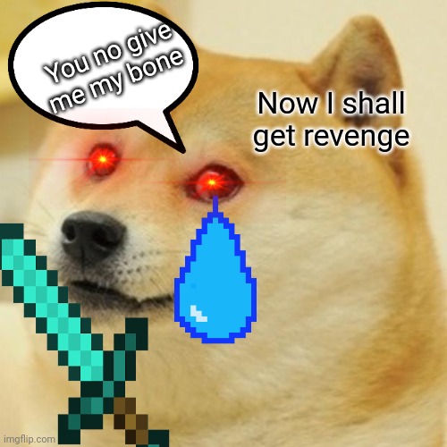 Doge | You no give me my bone; Now I shall get revenge | image tagged in memes,doge | made w/ Imgflip meme maker