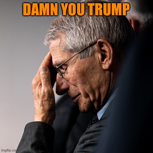 DAMN YOU TRUMP | made w/ Imgflip meme maker