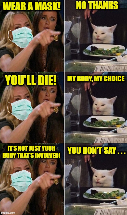 NO THANKS; WEAR A MASK! YOU'LL DIE! MY BODY, MY CHOICE; IT'S NOT JUST YOUR BODY THAT'S INVOLVED! YOU DON'T SAY . . . | image tagged in angry lady cat | made w/ Imgflip meme maker