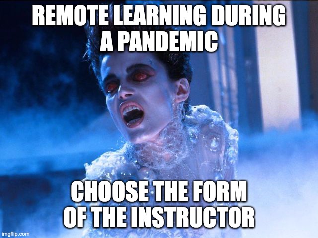 Remote learning during a pandemic | REMOTE LEARNING DURING
A PANDEMIC; CHOOSE THE FORM
OF THE INSTRUCTOR | image tagged in gozer,remote learning,e-learning,pandemic,covid19,school | made w/ Imgflip meme maker