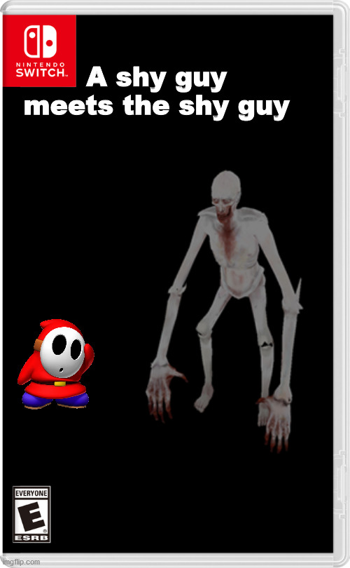 lol | A shy guy meets the shy guy | image tagged in scp meme,mario,funny,memes | made w/ Imgflip meme maker