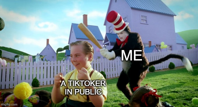 Cat in the hat with a bat. (______ Colorized) | ME; A TIKTOKER IN PUBLIC | image tagged in cat in the hat with a bat ______ colorized | made w/ Imgflip meme maker