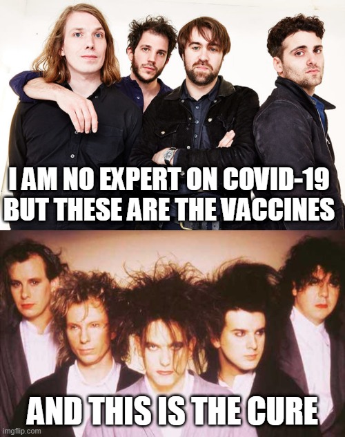 The Vaccines and The Cure for Covid-19 | I AM NO EXPERT ON COVID-19 BUT THESE ARE THE VACCINES; AND THIS IS THE CURE | image tagged in coronavirus,covid-19,the cure,the vaccines | made w/ Imgflip meme maker