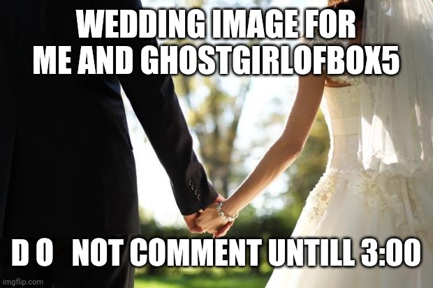yey weddings | WEDDING IMAGE FOR ME AND GHOSTGIRLOFBOX5; D O   NOT COMMENT UNTILL 3:00 | image tagged in wedding | made w/ Imgflip meme maker