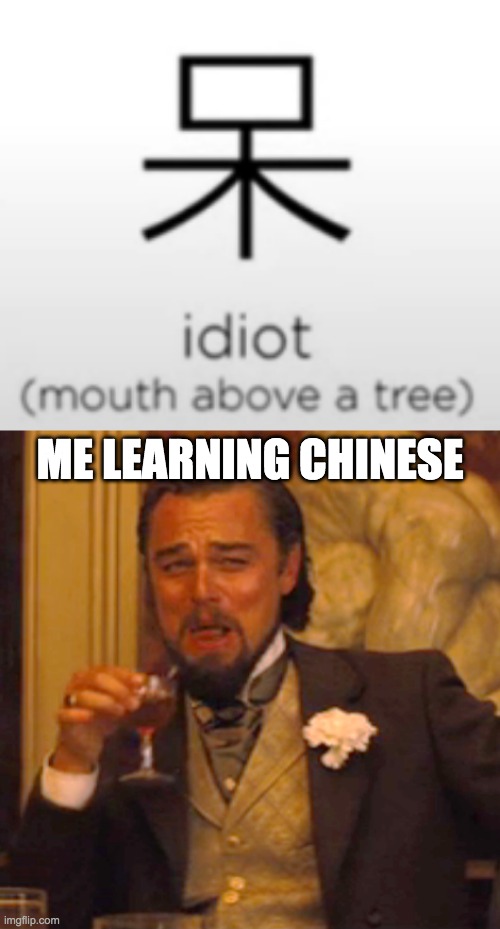 idiot | ME LEARNING CHINESE | image tagged in memes,laughing leo,idiot,chinese,mouse,tree | made w/ Imgflip meme maker