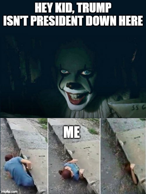 2020 be like... | HEY KID, TRUMP ISN'T PRESIDENT DOWN HERE; ME | image tagged in pennywise 2017 | made w/ Imgflip meme maker