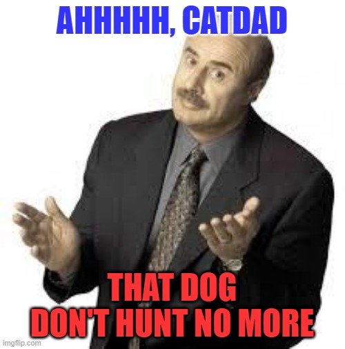 Dr Phil | AHHHHH, CATDAD THAT DOG DON'T HUNT NO MORE | image tagged in dr phil | made w/ Imgflip meme maker