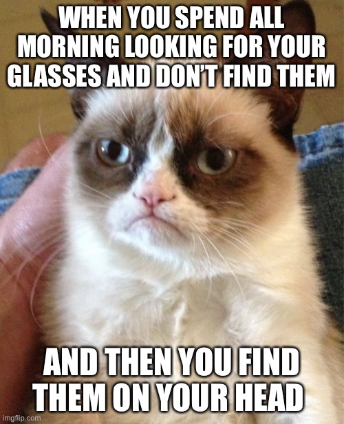 Can u relate | WHEN YOU SPEND ALL MORNING LOOKING FOR YOUR GLASSES AND DON’T FIND THEM; AND THEN YOU FIND THEM ON YOUR HEAD | image tagged in memes,grumpy cat,glasses | made w/ Imgflip meme maker