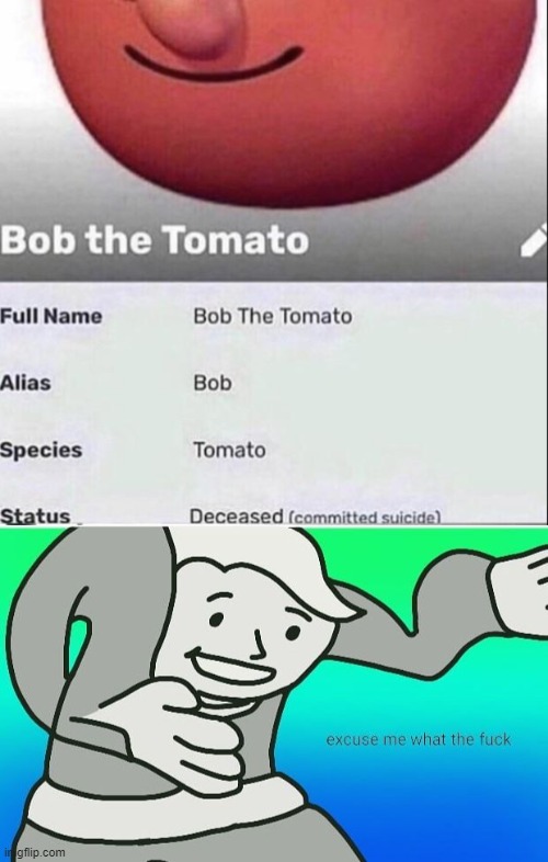 He will be missed | image tagged in fallout boy excuse me wyf,memes,funny,tomato,bob | made w/ Imgflip meme maker