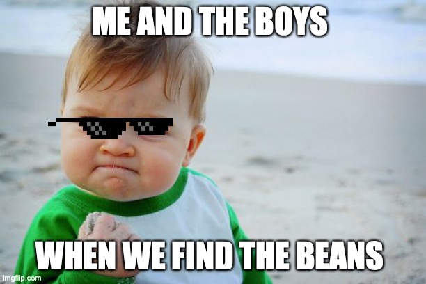 me and the boys when we find beans | ME AND THE BOYS; WHEN WE FIND THE BEANS | image tagged in memes,success kid original | made w/ Imgflip meme maker