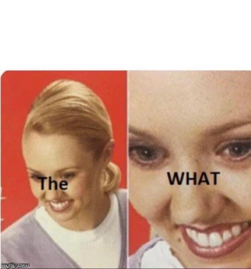 The what? | image tagged in the what | made w/ Imgflip meme maker