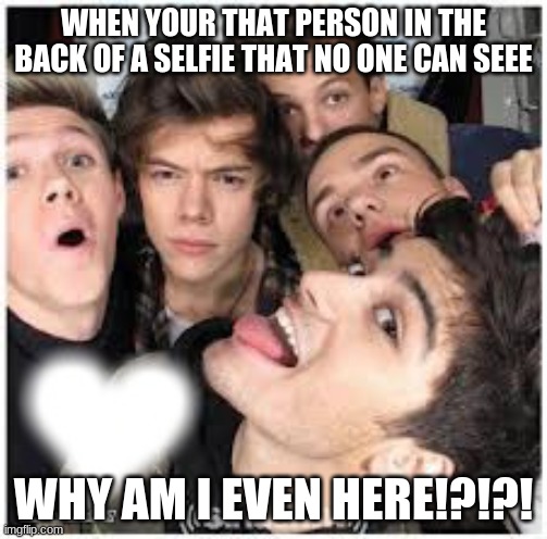 Meme | WHEN YOUR THAT PERSON IN THE BACK OF A SELFIE THAT NO ONE CAN SEEE; WHY AM I EVEN HERE!?!?! | image tagged in one direction | made w/ Imgflip meme maker