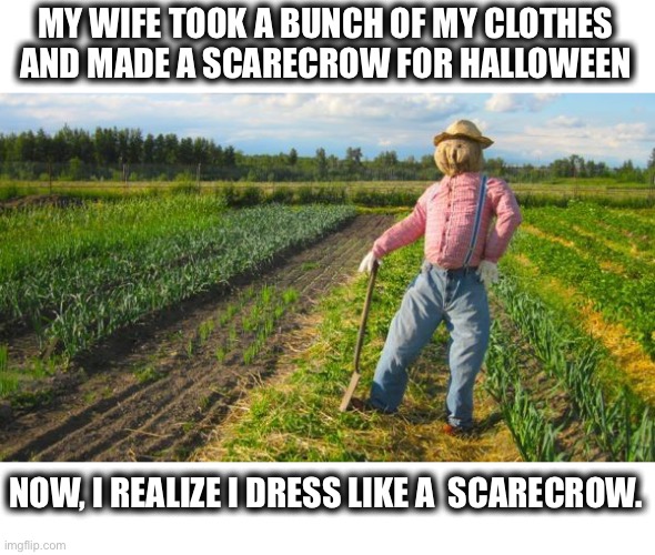 Time for a closet cleanout, I guess. | MY WIFE TOOK A BUNCH OF MY CLOTHES
AND MADE A SCARECROW FOR HALLOWEEN; NOW, I REALIZE I DRESS LIKE A  SCARECROW. | image tagged in scarecrow in field,halloween,dressed up,clothes,fashion,memes | made w/ Imgflip meme maker