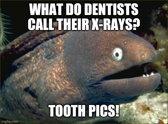 Bad Joke Eel Meme | WHAT DO DENTISTS CALL THEIR X-RAYS? TOOTH PICS! | image tagged in memes,bad joke eel,bad pun,dentist | made w/ Imgflip meme maker
