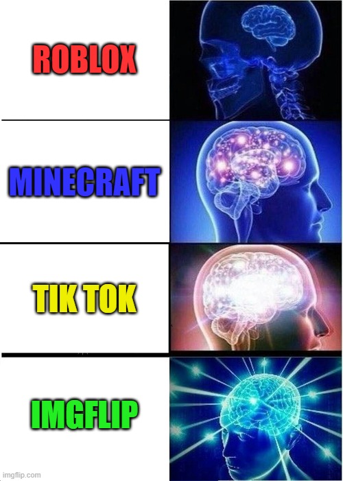 Evolution | ROBLOX; MINECRAFT; TIK TOK; IMGFLIP | image tagged in memes,expanding brain,roblox,minecraft,imgflip,tik tok | made w/ Imgflip meme maker