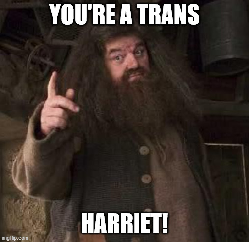 hagrid  |  YOU'RE A TRANS; HARRIET! | image tagged in hagrid,harry potter,jk rowling,transgender | made w/ Imgflip meme maker