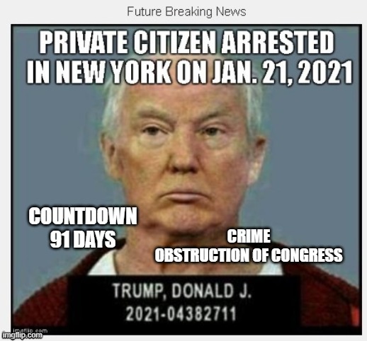 91 Days Until January 21, 2021 | CRIME
OBSTRUCTION OF CONGRESS; COUNTDOWN
91 DAYS | image tagged in countdown,liar in chief,mafia,conman,corrupt,psychopath | made w/ Imgflip meme maker