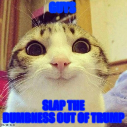Smiling Cat Meme | GUYS; SLAP THE DUMBNESS OUT OF TRUMP | image tagged in memes,smiling cat | made w/ Imgflip meme maker