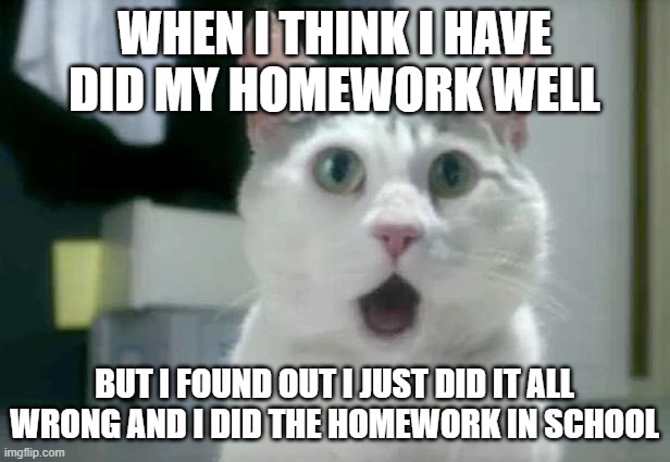 omg | WHEN I THINK I HAVE DID MY HOMEWORK WELL; BUT I FOUND OUT I JUST DID IT ALL WRONG AND I DID THE HOMEWORK IN SCHOOL | image tagged in memes,omg cat | made w/ Imgflip meme maker