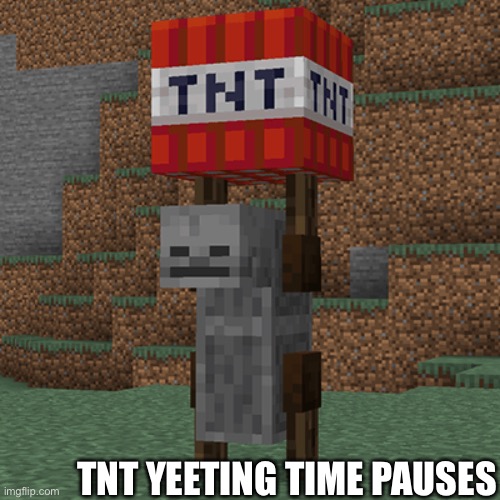 Tnt yeeter | TNT YEETING TIME PAUSES | image tagged in tnt yeeter | made w/ Imgflip meme maker