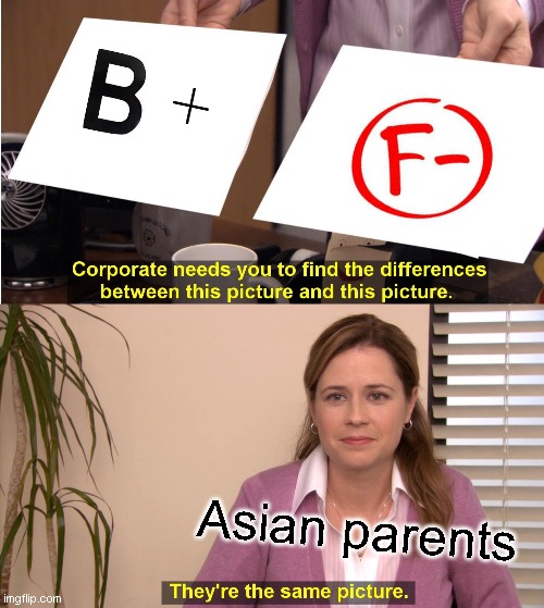 I am sorry if i offend anyone by this | Asian parents | image tagged in memes,they're the same picture | made w/ Imgflip meme maker