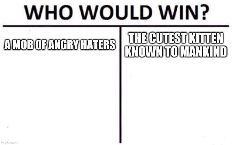 Cats | A MOB OF ANGRY HATERS; THE CUTEST KITTEN KNOWN TO MANKIND | image tagged in memes,who would win,cats | made w/ Imgflip meme maker