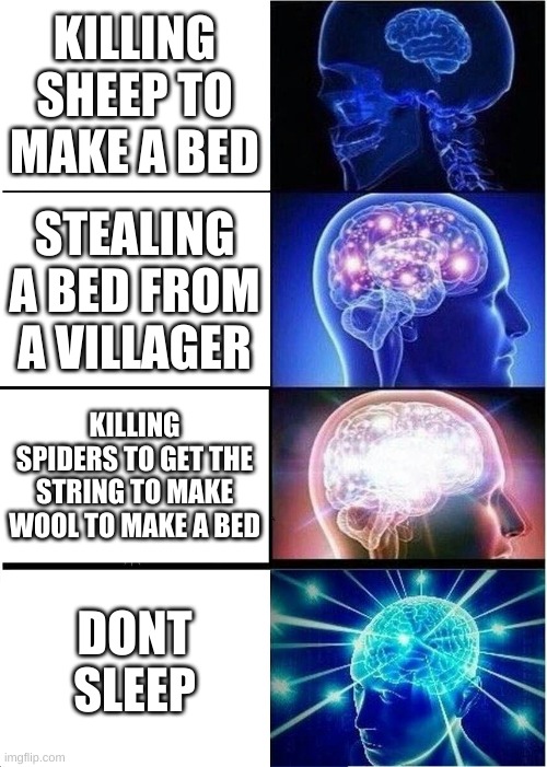 Expanding Brain Meme | KILLING SHEEP TO MAKE A BED; STEALING A BED FROM A VILLAGER; KILLING SPIDERS TO GET THE STRING TO MAKE WOOL TO MAKE A BED; DONT SLEEP | image tagged in memes,expanding brain | made w/ Imgflip meme maker