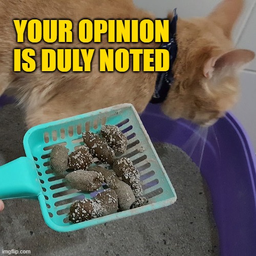 YOUR OPINION
IS DULY NOTED | made w/ Imgflip meme maker