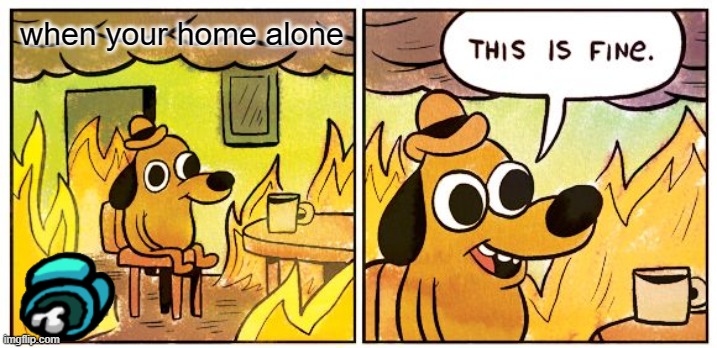 This Is Fine Meme | when your home alone | image tagged in memes,this is fine | made w/ Imgflip meme maker