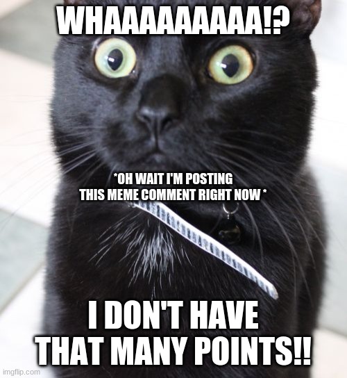 Woah Kitty Meme | WHAAAAAAAAA!? I DON'T HAVE THAT MANY POINTS!! *OH WAIT I'M POSTING THIS MEME COMMENT RIGHT NOW * | image tagged in memes,woah kitty | made w/ Imgflip meme maker