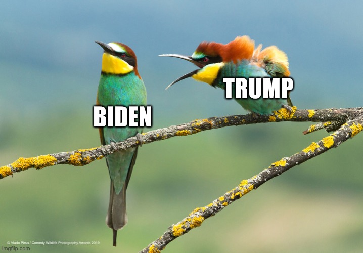 BIDEN TRUMP | made w/ Imgflip meme maker