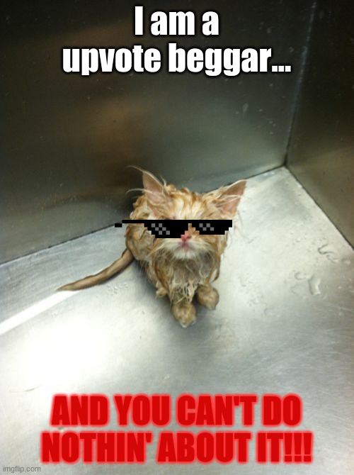 Kill You Cat Meme | I am a upvote beggar... AND YOU CAN'T DO NOTHIN' ABOUT IT!!! | image tagged in memes,kill you cat | made w/ Imgflip meme maker