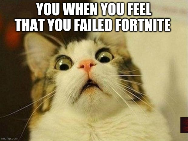 Scared Cat | YOU WHEN YOU FEEL THAT YOU FAILED FORTNITE | image tagged in memes,scared cat | made w/ Imgflip meme maker