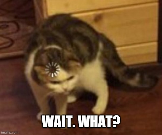 Loading cat | WAIT. WHAT? | image tagged in loading cat | made w/ Imgflip meme maker