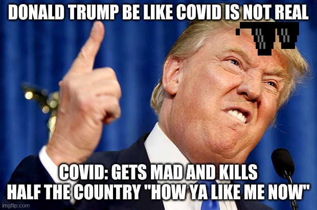 2020 be like. | DONALD TRUMP BE LIKE COVID IS NOT REAL; COVID: GETS MAD AND KILLS HALF THE COUNTRY "HOW YA LIKE ME NOW" | image tagged in donald trump | made w/ Imgflip meme maker