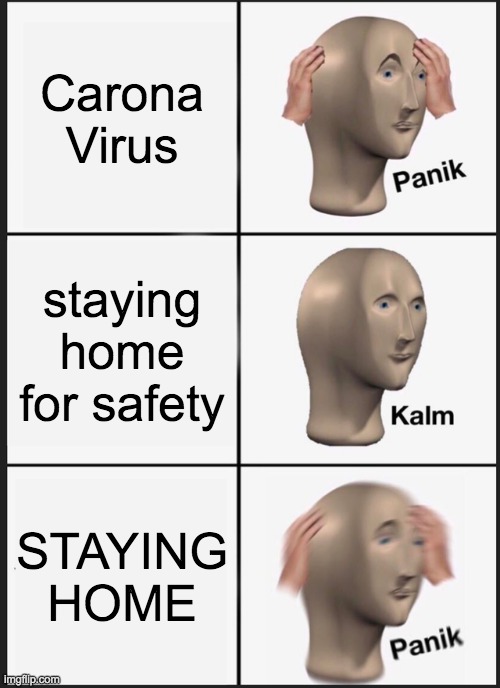 Stay Safe! | Carona Virus; staying home for safety; STAYING HOME | image tagged in memes,panik kalm panik | made w/ Imgflip meme maker