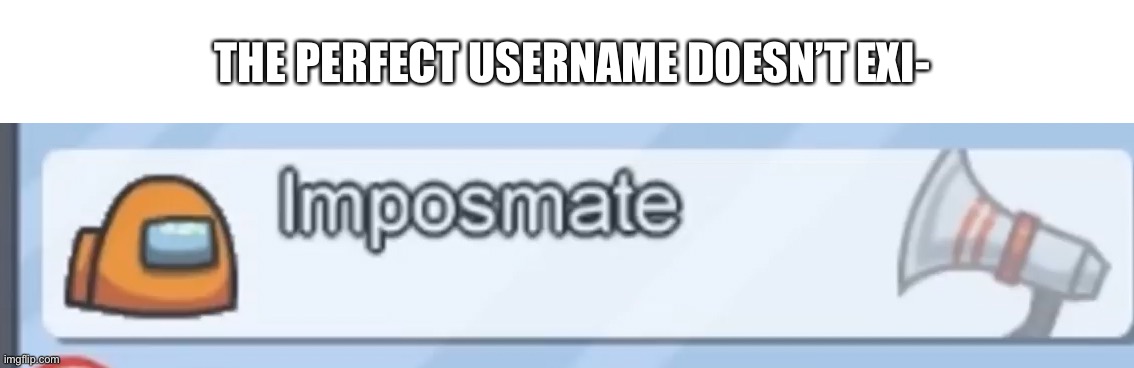 OHMYGODOHMYGODOHMYGOD WHAT | THE PERFECT USERNAME DOESN’T EXI- | image tagged in perfection | made w/ Imgflip meme maker