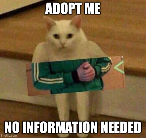 Please | ADOPT ME; NO INFORMATION NEEDED | image tagged in cursedcat | made w/ Imgflip meme maker