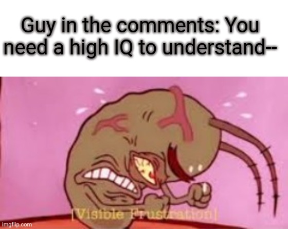 Visible Frustration | Guy in the comments: You need a high IQ to understand-- | image tagged in visible frustration | made w/ Imgflip meme maker